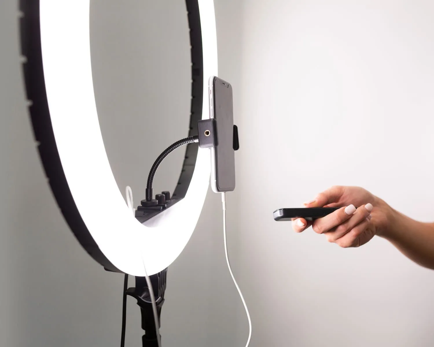 22" LED Portable Ring Light - Platinum Pro II (DEMO STOCK)