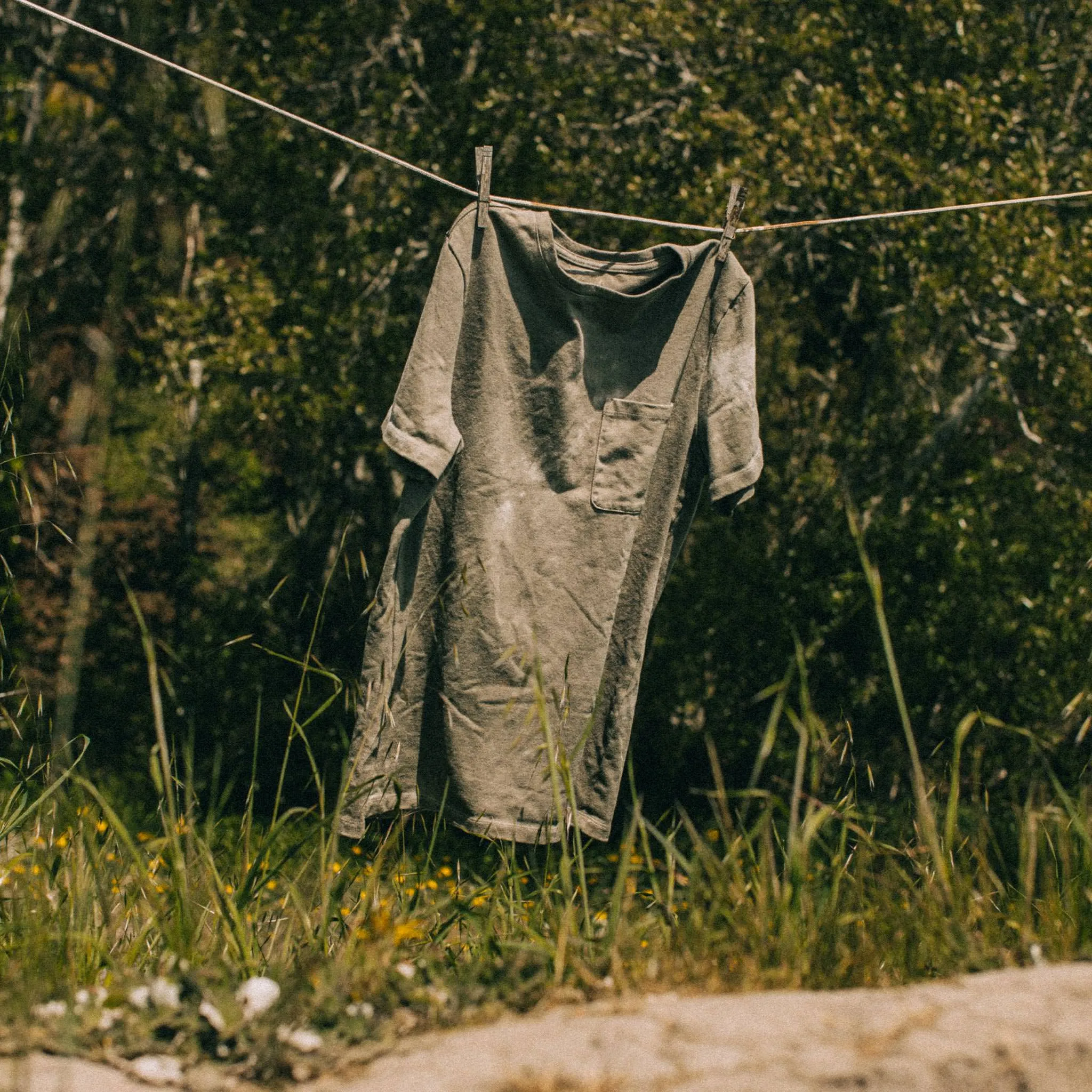 The Botanical Dye Tee in Moss