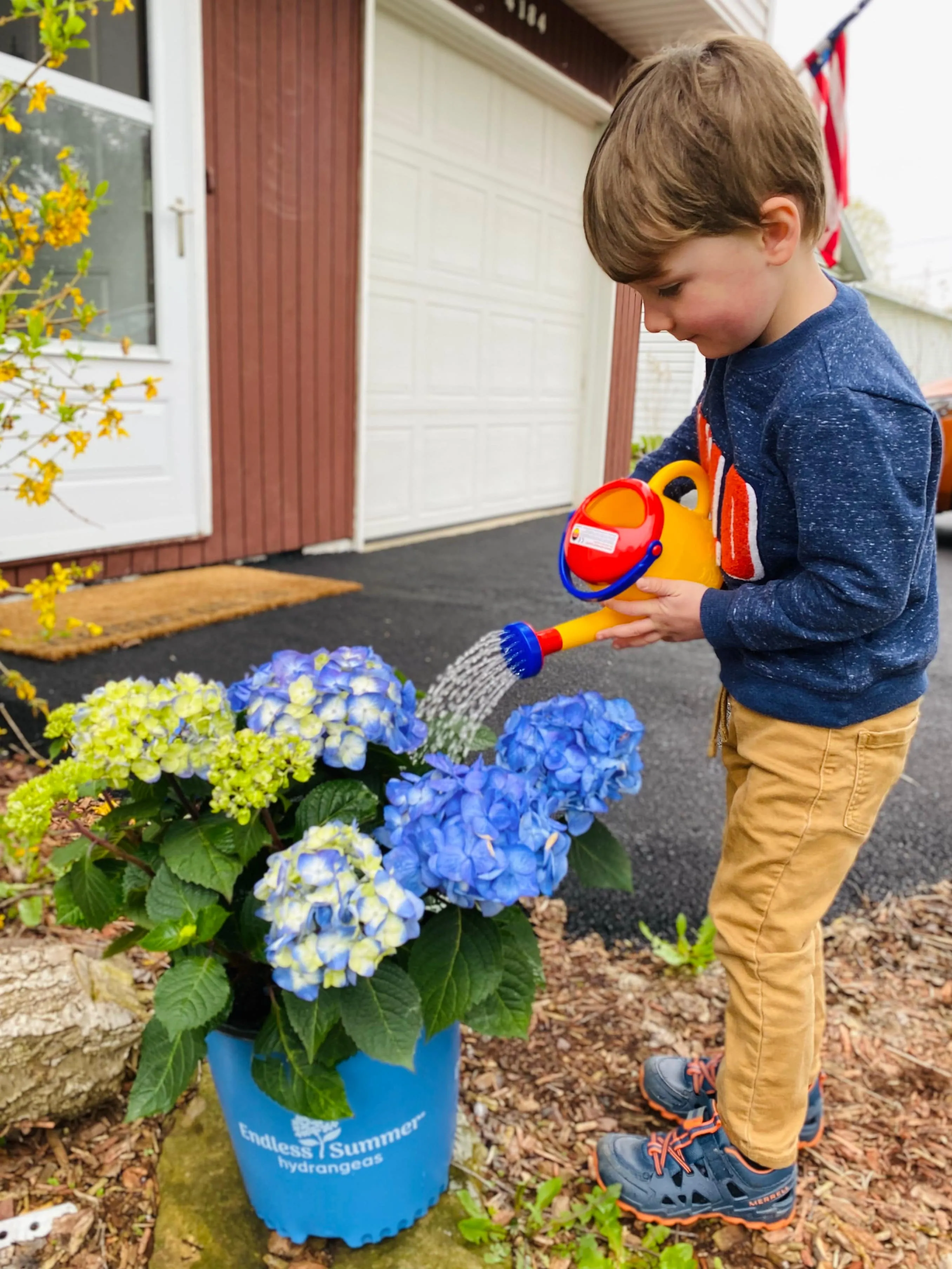 Watering Can (1 Liter)