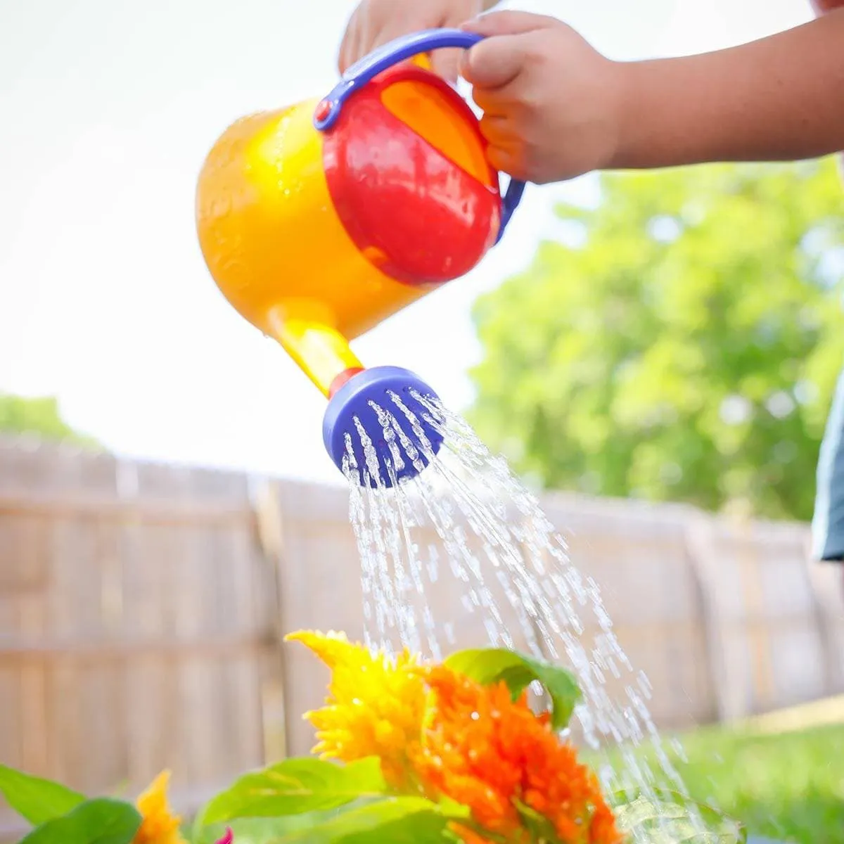 Watering Can (1 Liter)